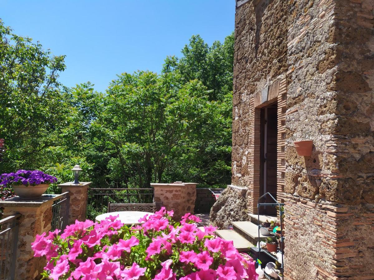 B&B Il Giardino Del Borgo Veiano Eksteriør bilde